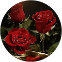 mir mazhar profile picture