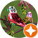 Ali Raza Jutt profile picture